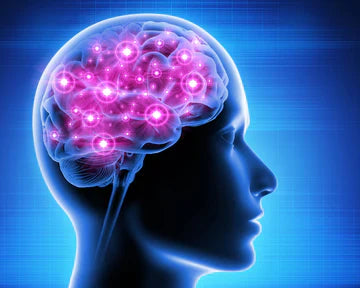 Brain Development Millet packs