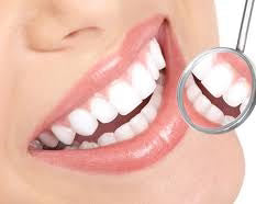 Dental Defense Millet packs