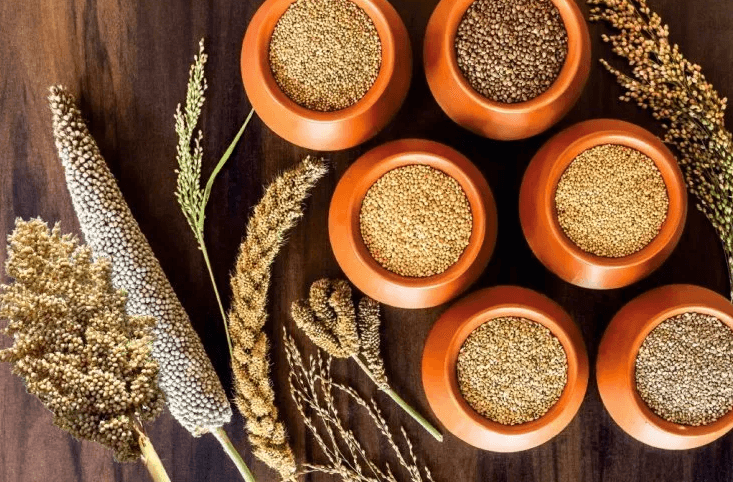 Type 1 Diabetic Care Series - Millet Rice