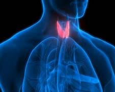 Thyroid Balance Millet Wellness Kit