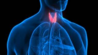 Thyroid Balance  Starter Pack