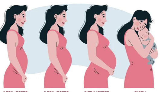 Pre-Pregnancy Support Starter Pack