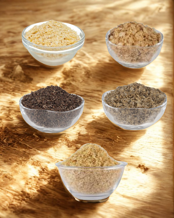 Untitled design (19)