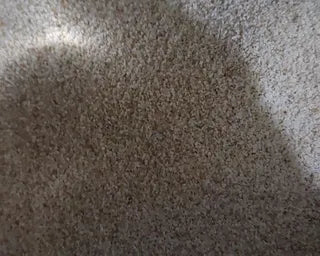 Step 1 photo 4