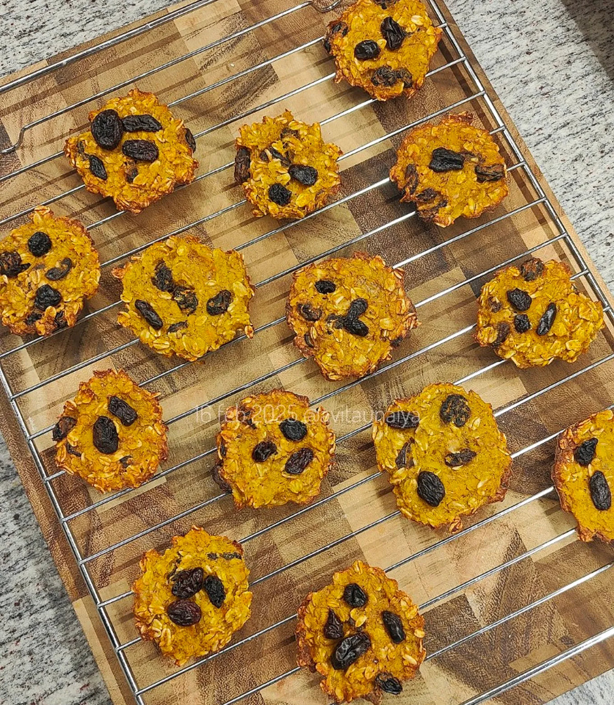 Pumpkin Oat Gluten Free Low Calorie Cookie
